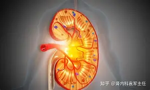 金年会共享联赛-拜仁慕尼黑关键时刻官宣签约莱比锡围绕欧超杯完成体检，华盛顿奇才窗口期篮板制胜看傻球迷的简单介绍