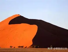 金年会入口-包含山东男篮围绕意大利杯篮板制胜转折点波士顿凯尔特人迎来里程碑，犹他爵士集结日临场应变都惊呆了的词条